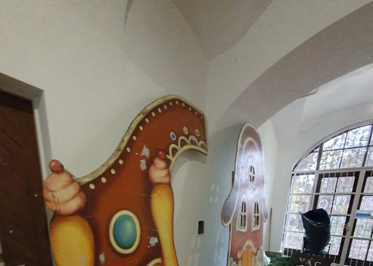 A Váci Városfejlesztő Kft. heti beszámolója