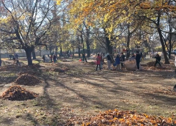 Diákok segítettek felkészíteni a Rózsaparkot a téli időszakra – videóval