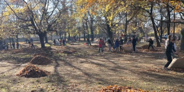Diákok segítettek felkészíteni a Rózsaparkot a téli időszakra – videóval