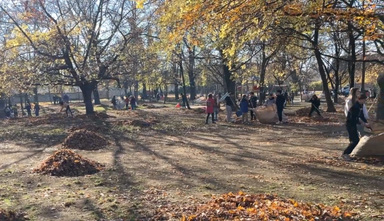 Diákok segítettek felkészíteni a Rózsaparkot a téli időszakra – videóval
