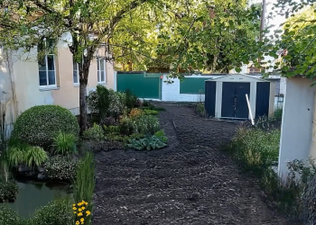 A Juhászban lesz Magyarország első iskolai szivacskertje – videóval