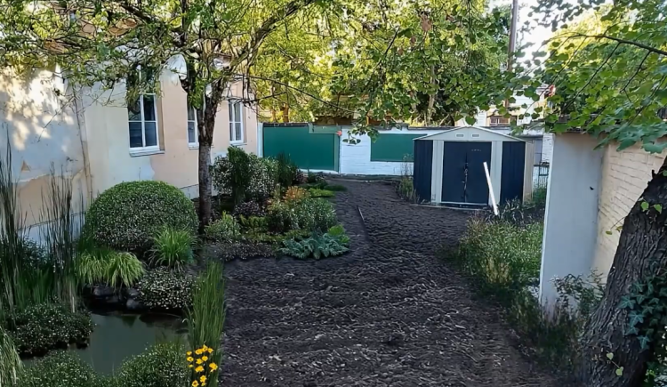 A Juhászban lesz Magyarország első iskolai szivacskertje – videóval