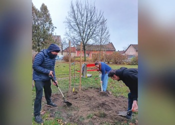 Közösségi faültetést szervezett a hétvégére a Bagolybükk Egyesület – videóval