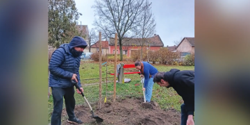 Közösségi faültetést szervezett a hétvégére a Bagolybükk Egyesület – videóval