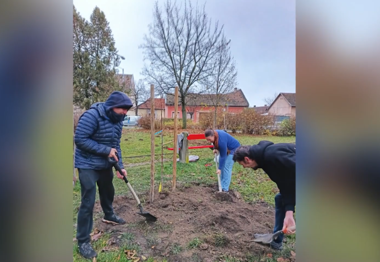 Közösségi faültetést szervezett a hétvégére a Bagolybükk Egyesület – videóval