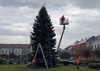 Állnak már Vác karácsonyfái – videóval
