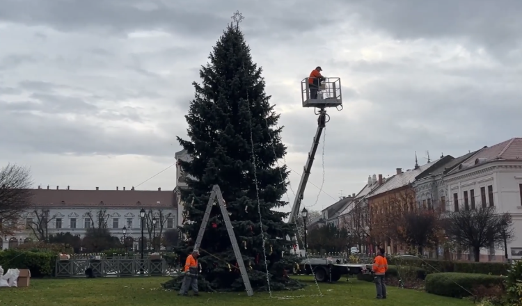 Állnak már Vác karácsonyfái – videóval