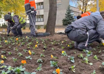 Az őszi-téli időszakhoz alakítja a város növényparkját a Városfejlesztő – videóval