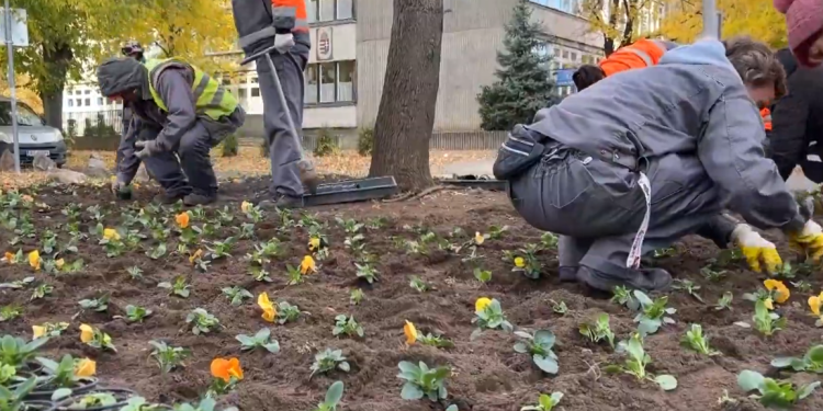 Az őszi-téli időszakhoz alakítja a város növényparkját a Városfejlesztő – videóval