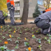 Az őszi-téli időszakhoz alakítja a város növényparkját a Városfejlesztő – videóval