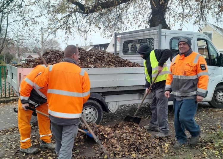 A Váci Városfejlesztő Kft. heti beszámolója