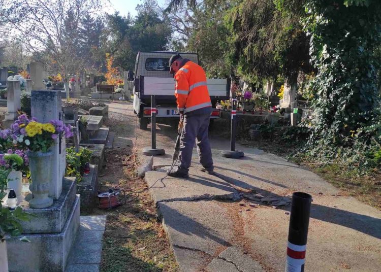 A Váci Városfejlesztő Kft. heti beszámolója