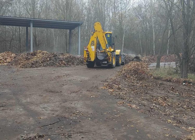 A Váci Városfejlesztő Kft. heti beszámolója