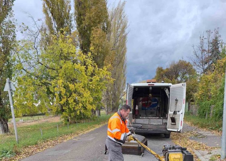 A Váci Városfejlesztő Kft. heti beszámolója