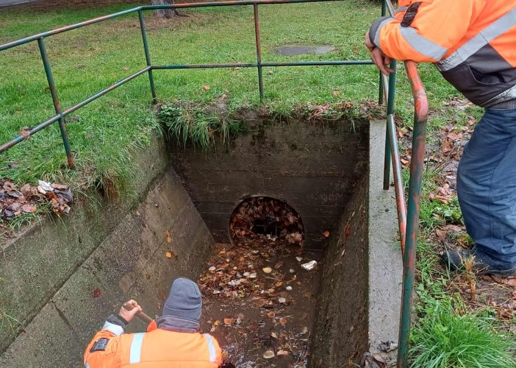 A Váci Városfejlesztő Kft. heti beszámolója