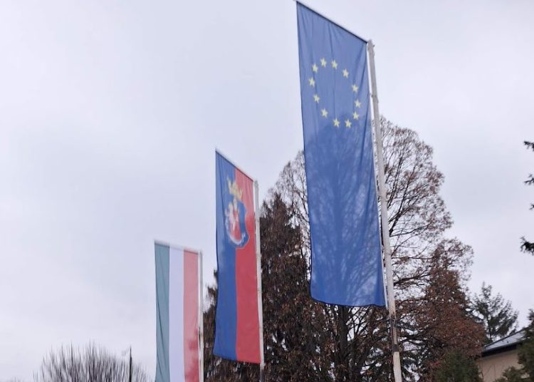 A Váci Városfejlesztő Kft. heti beszámolója