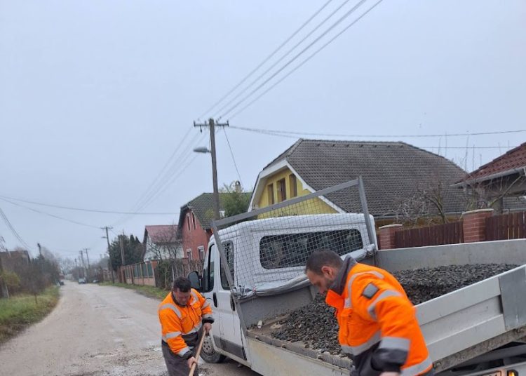 A Váci Városfejlesztő Kft. heti beszámolója