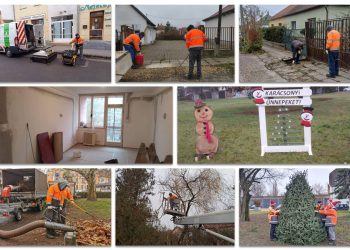 A Váci Városfejlesztő Kft. heti beszámolója