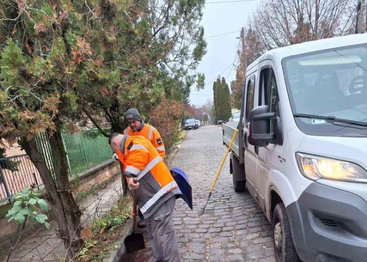 A Váci Városfejlesztő Kft. heti beszámolója