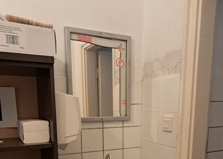 A Váci Városfejlesztő Kft. heti beszámolója