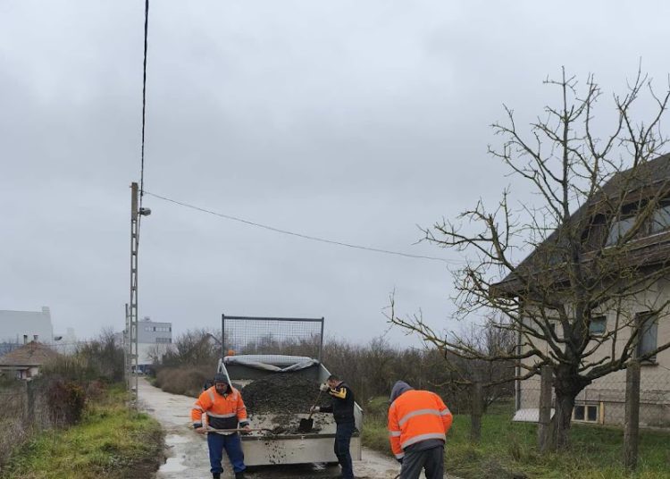 A Váci Városfejlesztő Kft. heti beszámolója