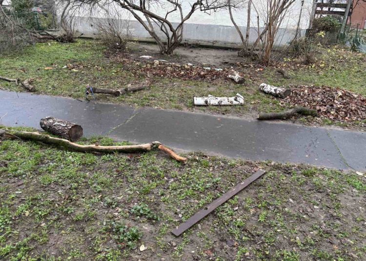 A Váci Városfejlesztő Kft. heti beszámolója