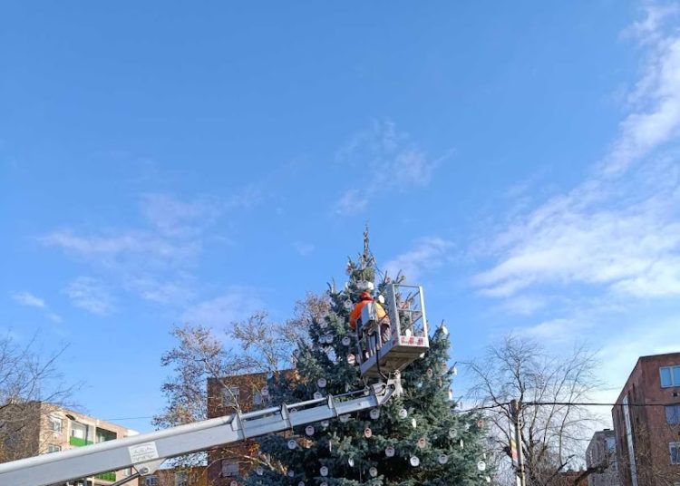 A Váci Városfejlesztő Kft. heti beszámolója