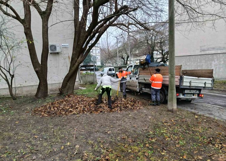 A Váci Városfejlesztő Kft. heti beszámolója