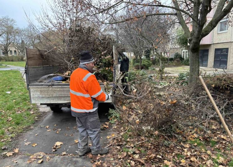 A Váci Városfejlesztő Kft. heti beszámolója