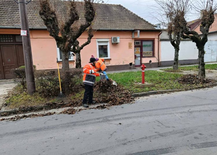 A Váci Városfejlesztő Kft. heti beszámolója
