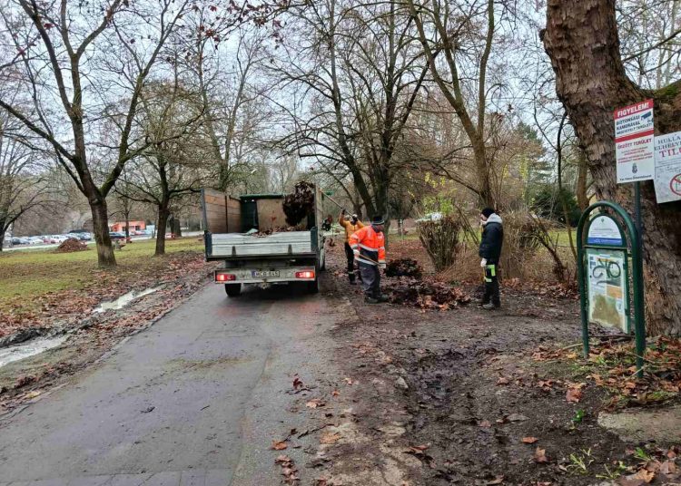 A Váci Városfejlesztő Kft. heti beszámolója