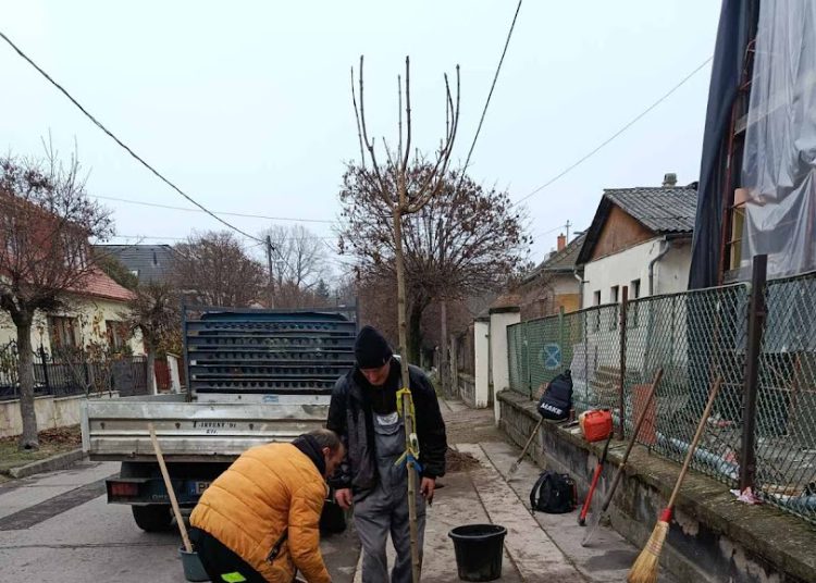 A Váci Városfejlesztő Kft. heti beszámolója