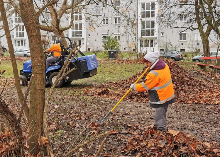 A Váci Városfejlesztő Kft. heti beszámolója