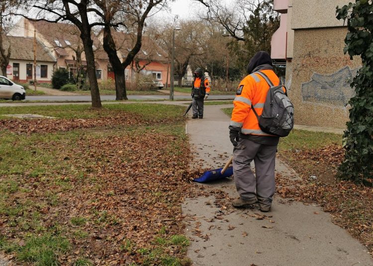 A Váci Városfejlesztő Kft. heti beszámolója