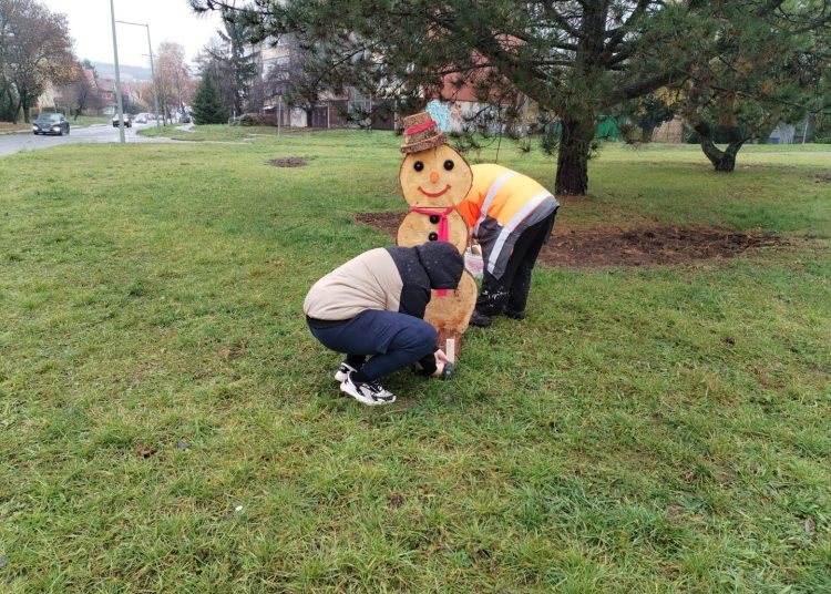 A Váci Városfejlesztő Kft. heti beszámolója