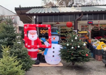 Nagyjából hasonló árakon kapható a fenyő Vácon, a kiegészítők viszont drágábbak
