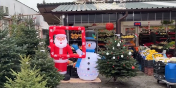 Nagyjából hasonló árakon kapható a fenyő Vácon, a kiegészítők viszont drágábbak