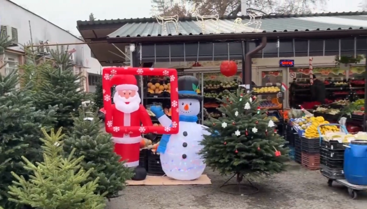 Nagyjából hasonló árakon kapható a fenyő Vácon, a kiegészítők viszont drágábbak