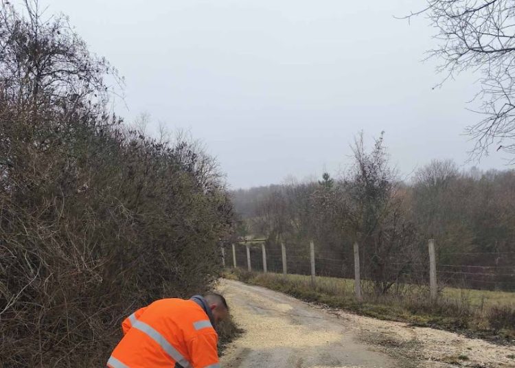 A Váci Városfejlesztő Kft. heti beszámolója