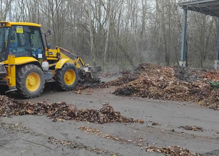 A Váci Városfejlesztő Kft. heti beszámolója