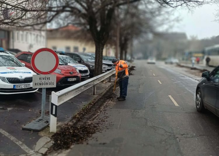 A Váci Városfejlesztő Kft. heti beszámolója