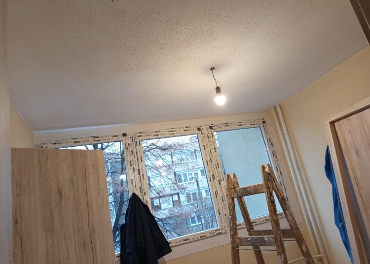 A Váci Városfejlesztő Kft. heti beszámolója