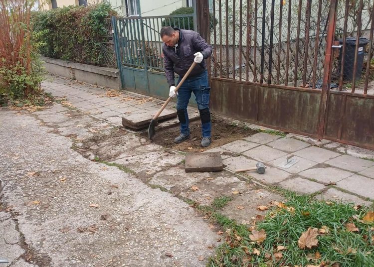 A Váci Városfejlesztő Kft. heti beszámolója