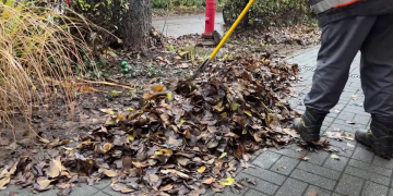 Végeztek a lombgyűjtéssel a Városfejlesztő Kft. munkatársai