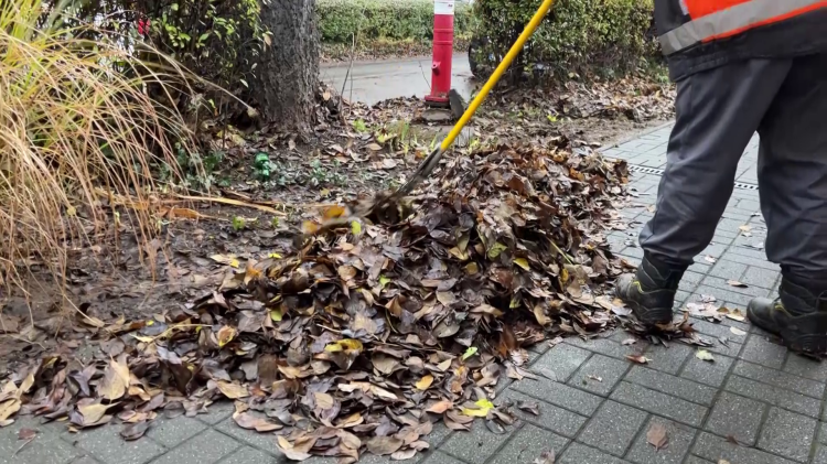 Végeztek a lombgyűjtéssel a Városfejlesztő Kft. munkatársai