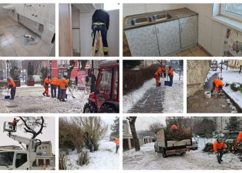 A Váci Városfejlesztő Kft. heti beszámolója