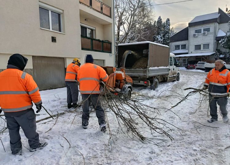 A Váci Városfejlesztő beszámolója (fotókkal)