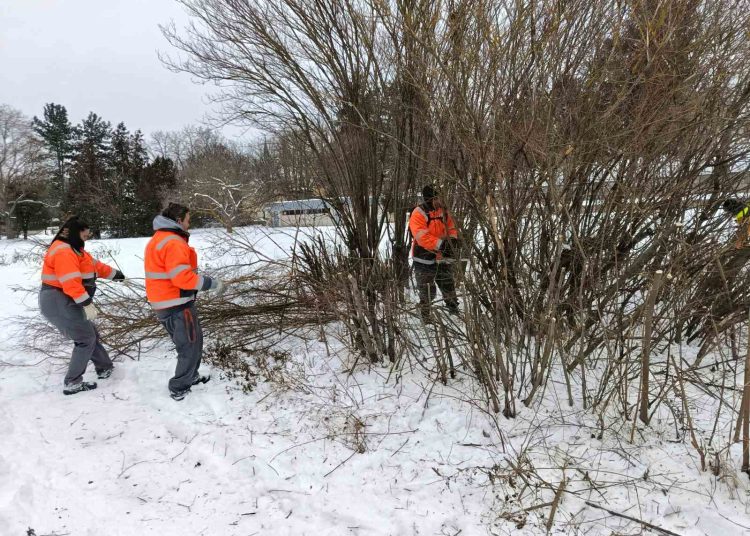 A Váci Városfejlesztő beszámolója (fotókkal)