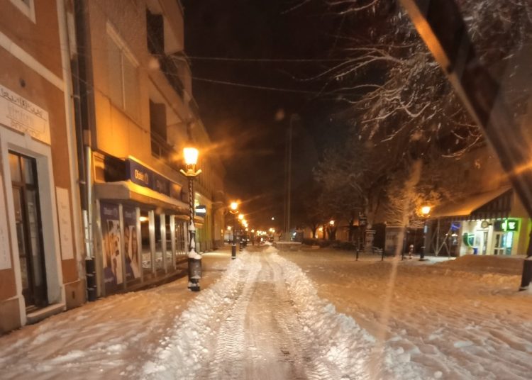 A Váci Városfejlesztő beszámolója (fotókkal)