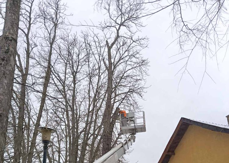 A Váci Városfejlesztő beszámolója (fotókkal)